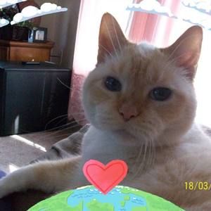 Meet your Posher, Phyllis